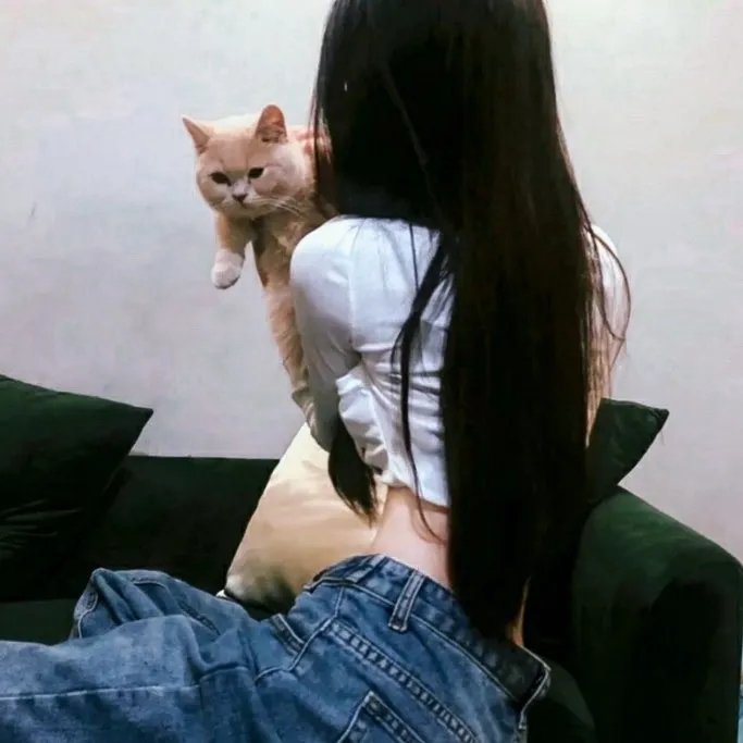 营救野猪队